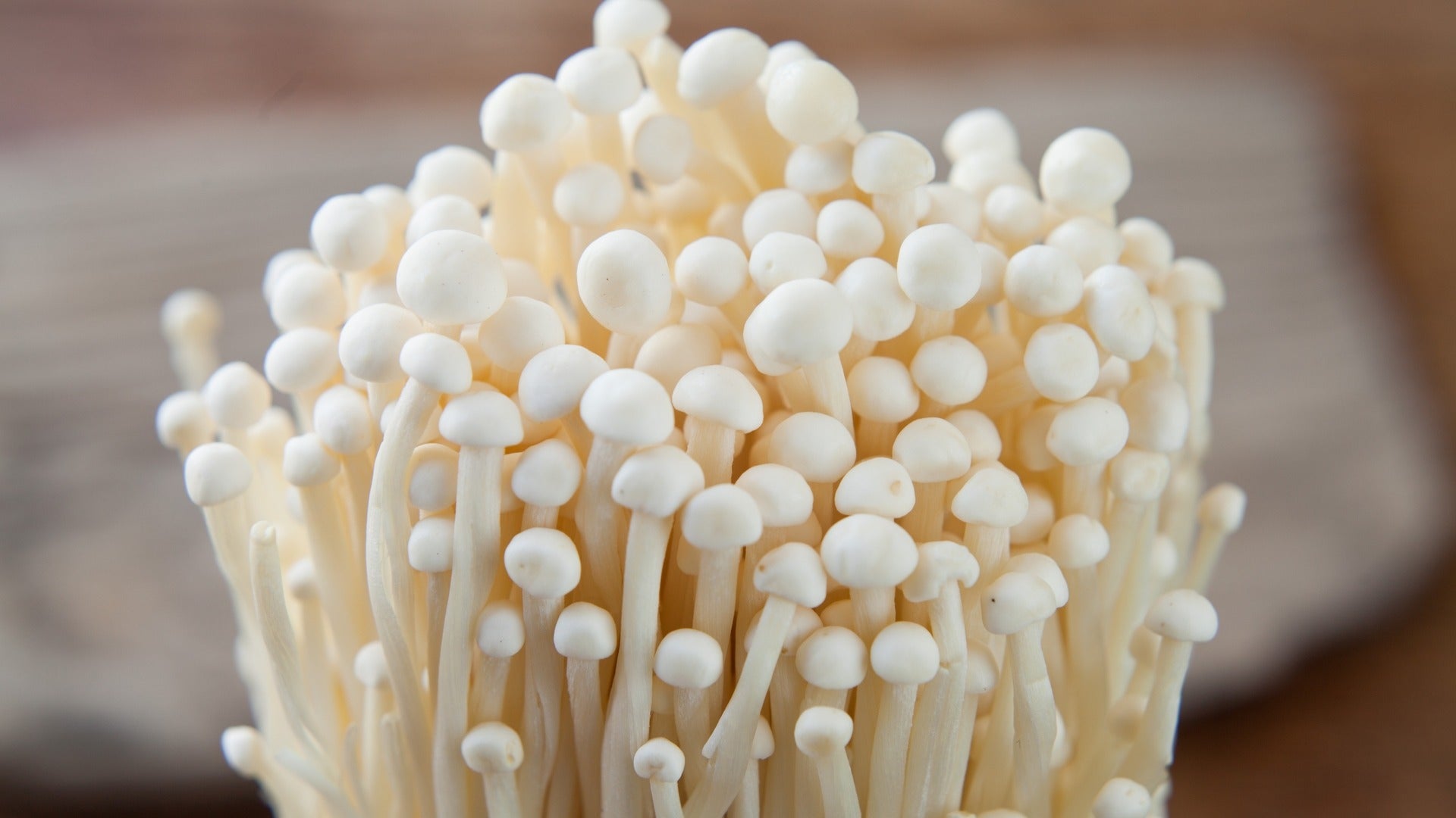 Sac de spawn sur grain – 1 kg - Enoki