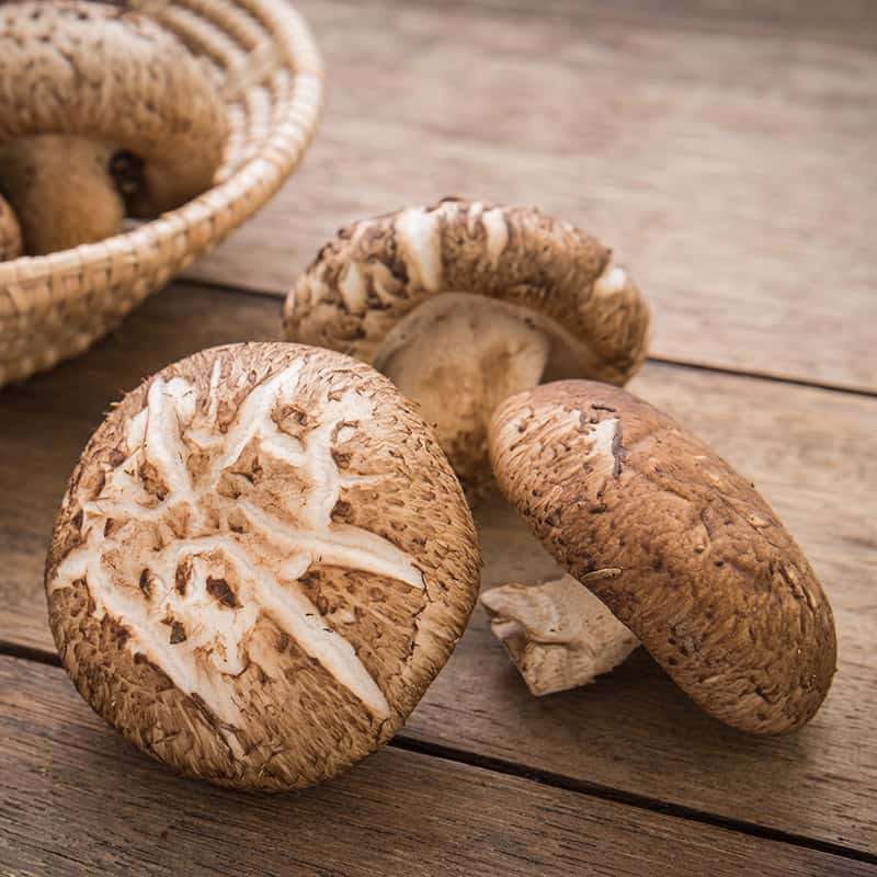 Champignons frais - Shiitake