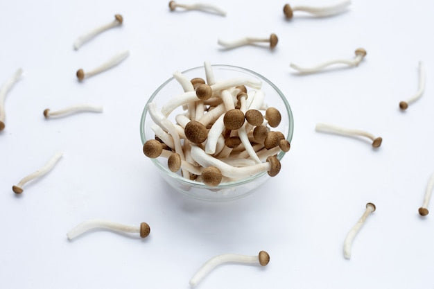 Champignons frais - Shimeji