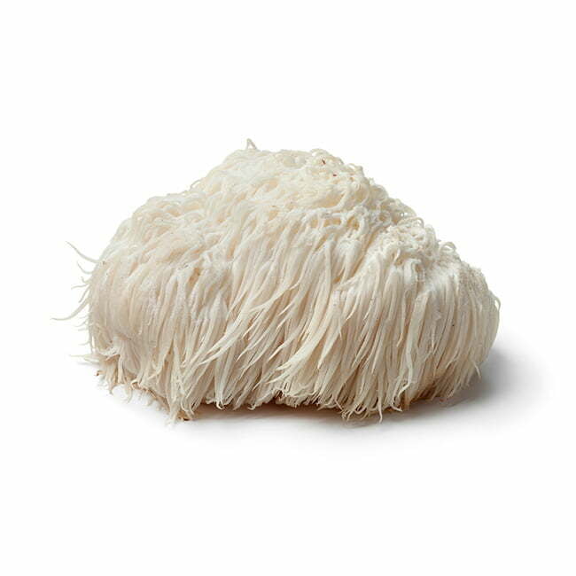 Champignon frais - Lion’s Mane / Crinière de Lion