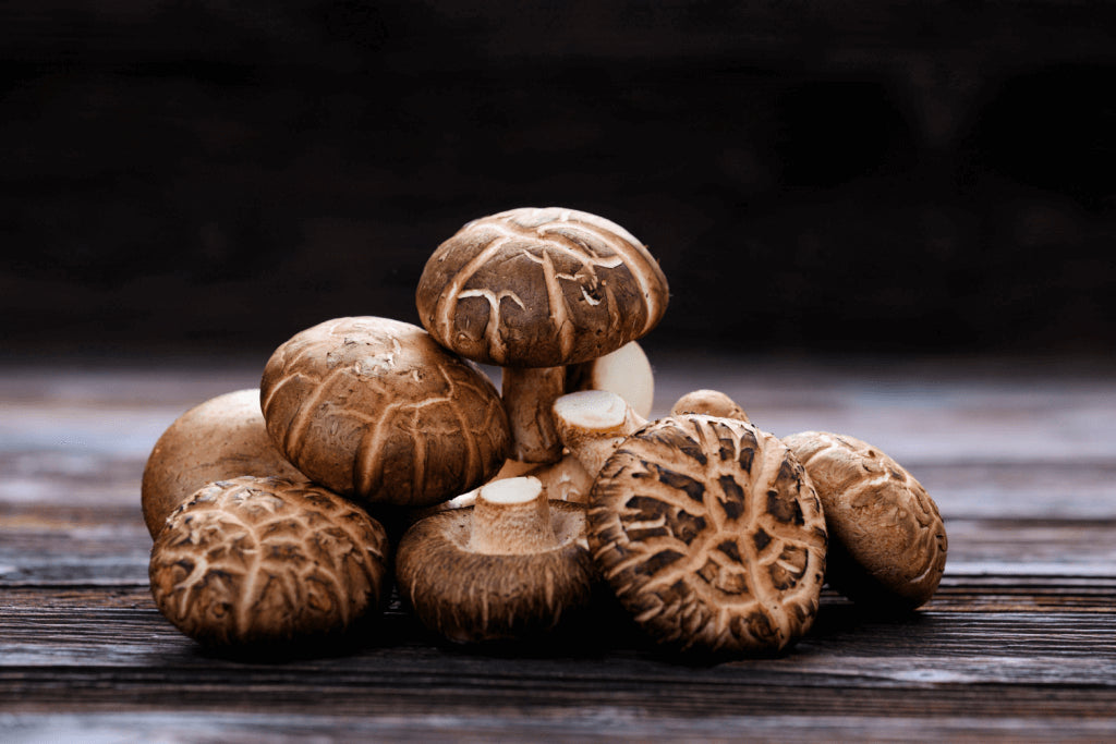 Champignons frais - Shiitake
